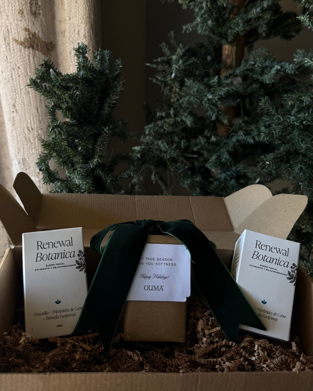 Christmas Renewal Botanica