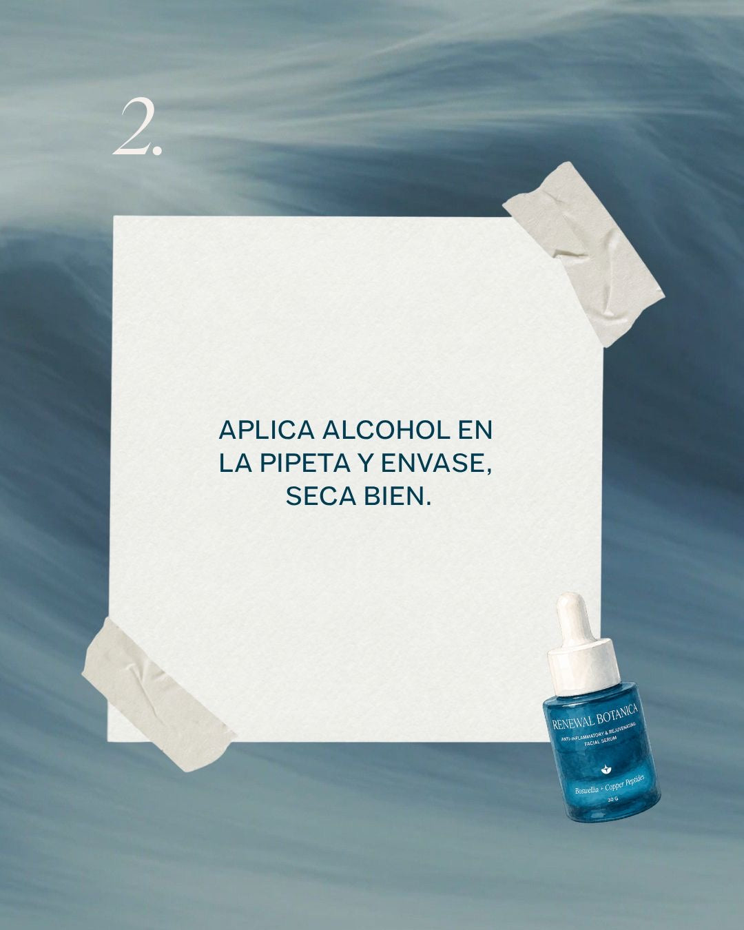 The Refill: Renewal Botanica